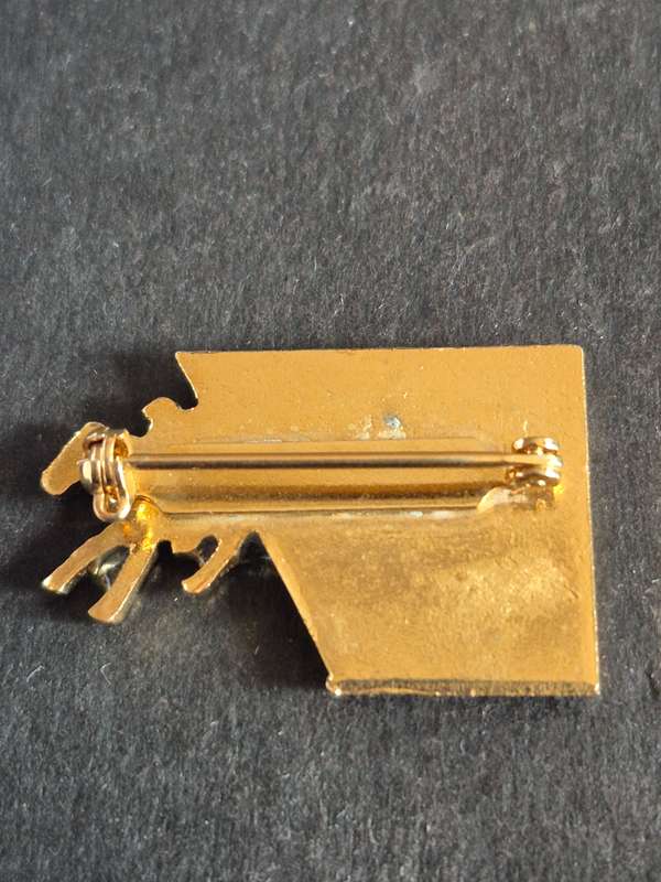 PMB Turf Club Badge
