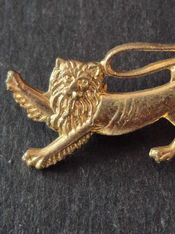 British and Irish Lions Tour 1974 Pin Badge (rare)