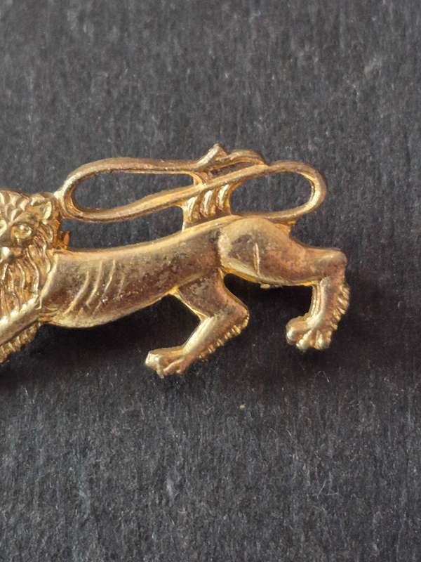 British and Irish Lions Tour 1974 Pin Badge (rare)