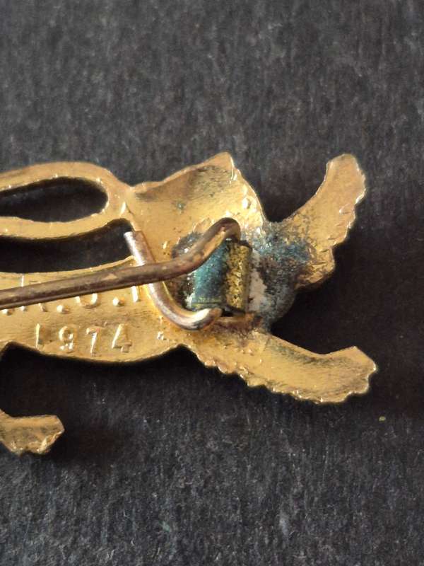 British and Irish Lions Tour 1974 Pin Badge (rare)