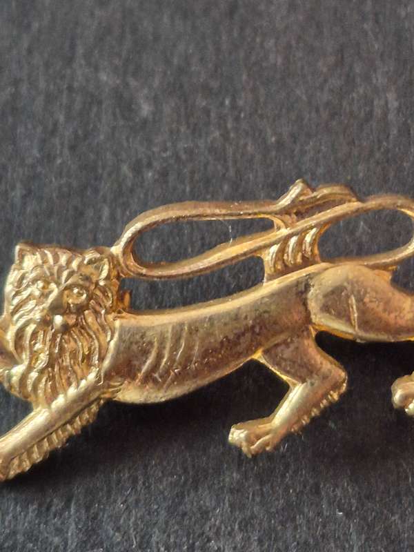 British and Irish Lions Tour 1974 Pin Badge (rare)