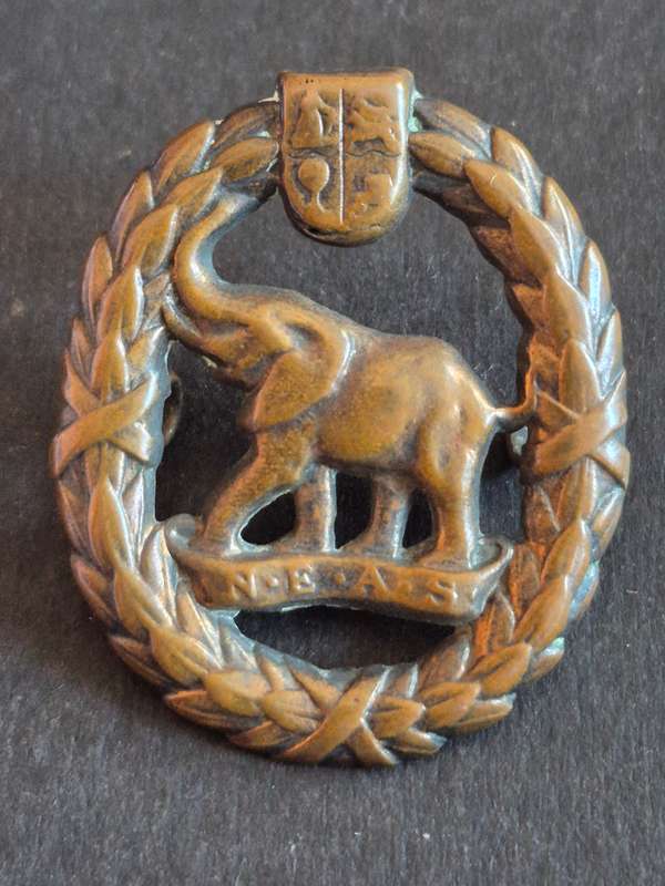 WW2 SA Nature Military Corps Bronze Cap Badge