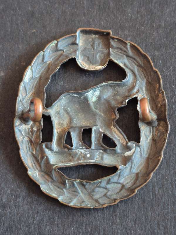 WW2 SA Nature Military Corps Bronze Cap Badge