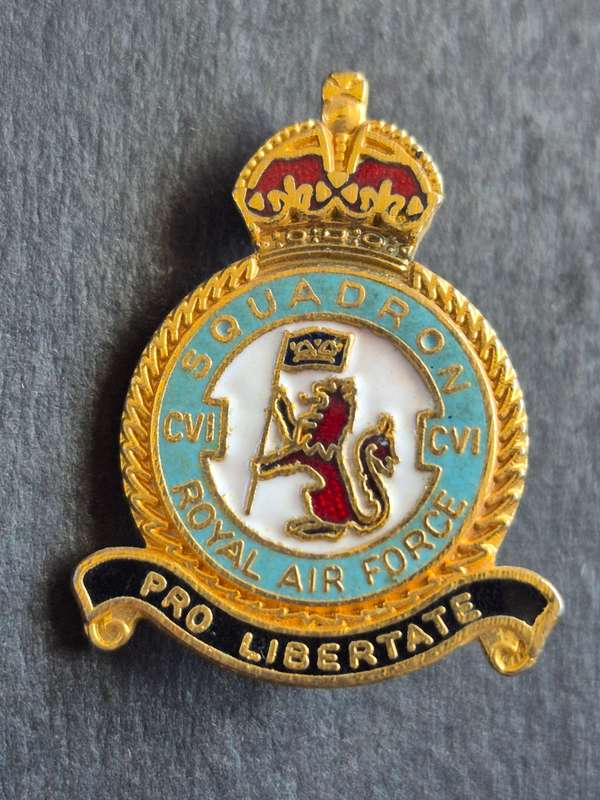 Royal Airforce Squadron Enamel Pin Badge