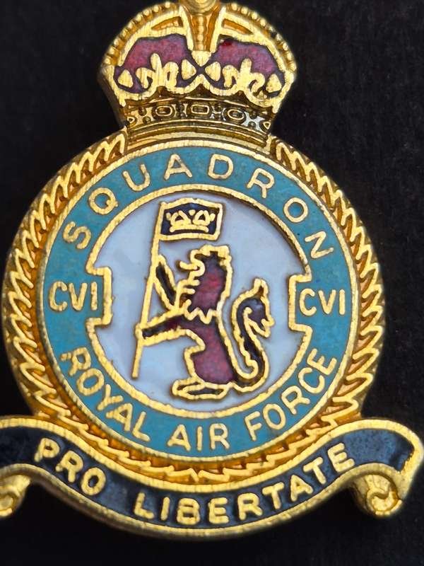 Royal Airforce Squadron Enamel Pin Badge