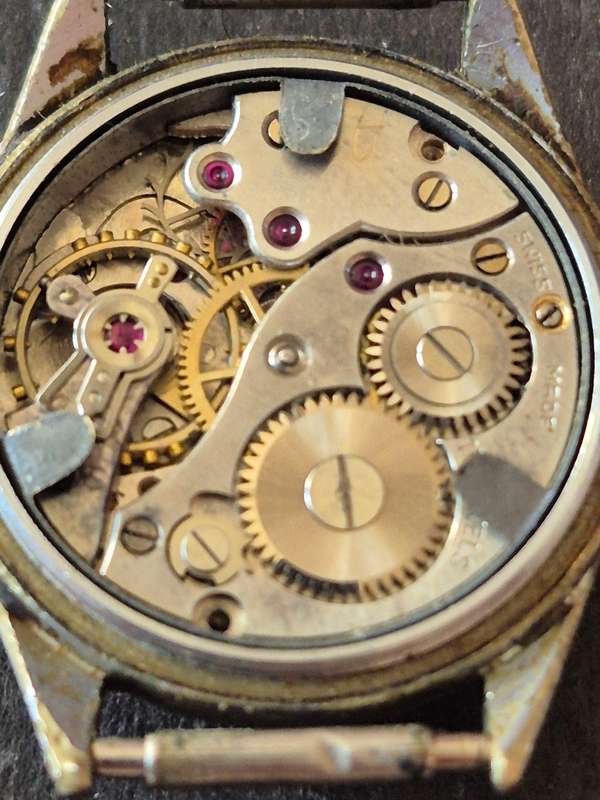 Vintage Swiss Watch Co. Salisbury 15 Jewels Ladies Wrist Watch (not working)