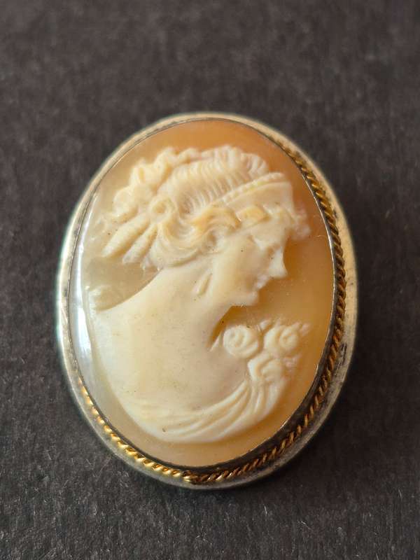 Vintage Carved Shell Cameo Brooch