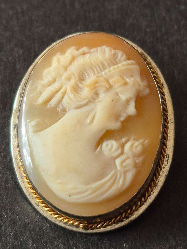 Vintage Carved Shell Cameo Brooch
