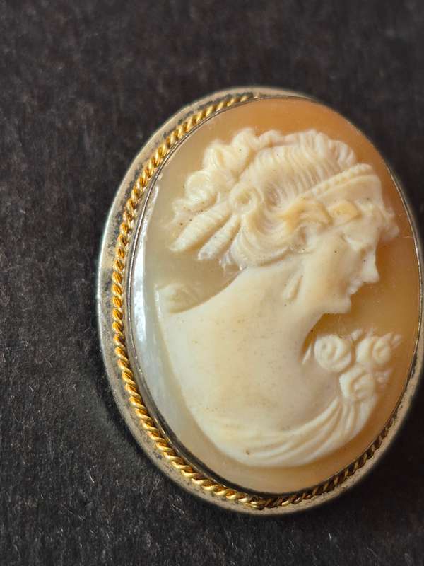 Vintage Carved Shell Cameo Brooch