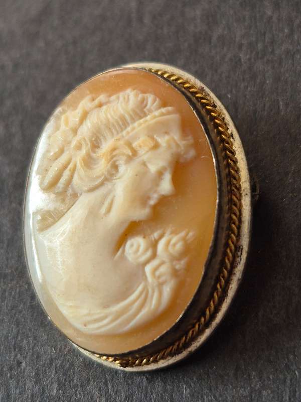 Vintage Carved Shell Cameo Brooch