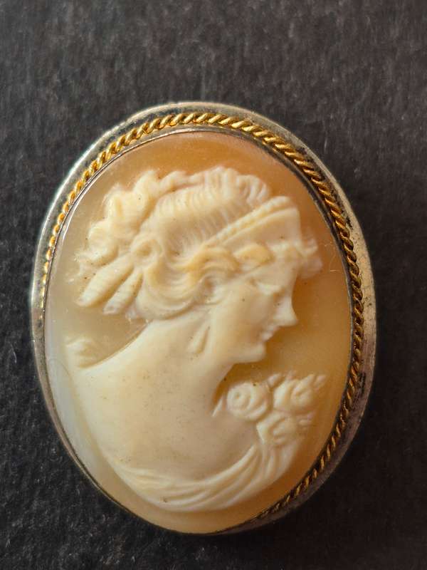 Vintage Carved Shell Cameo Brooch