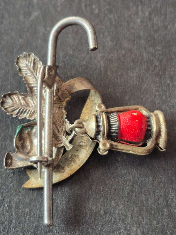 Austria Vintage Mountaineering Badge