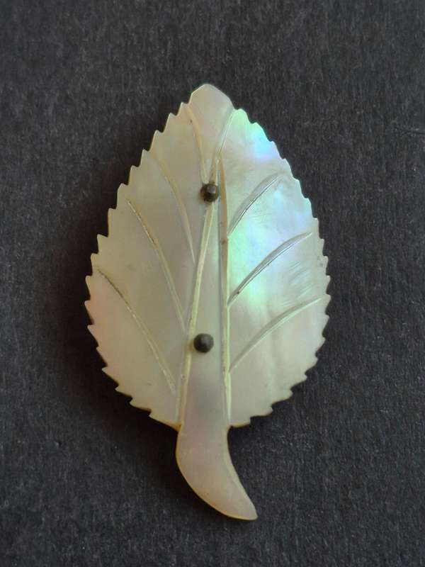 Antique Carved Mother of Pearl Leaf shaped Brooch (pin broken)
