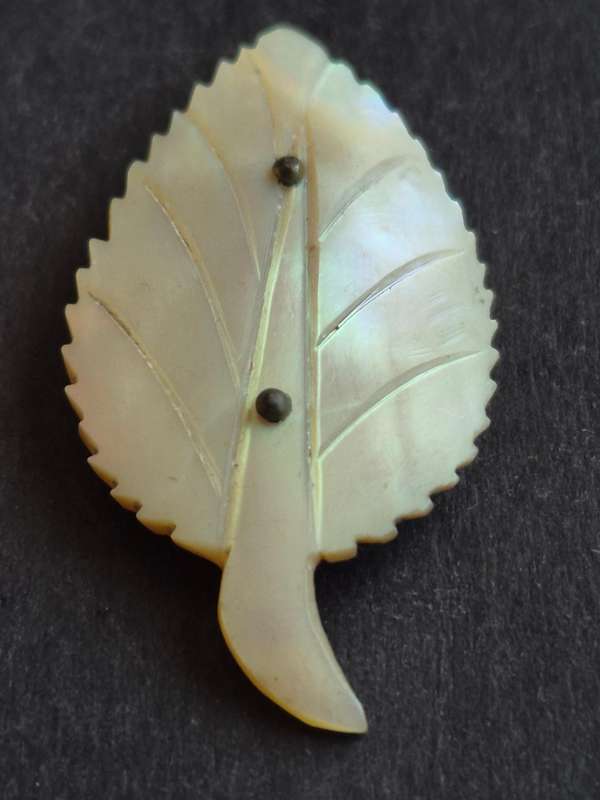 Antique Carved Mother of Pearl Leaf shaped Brooch (pin broken)