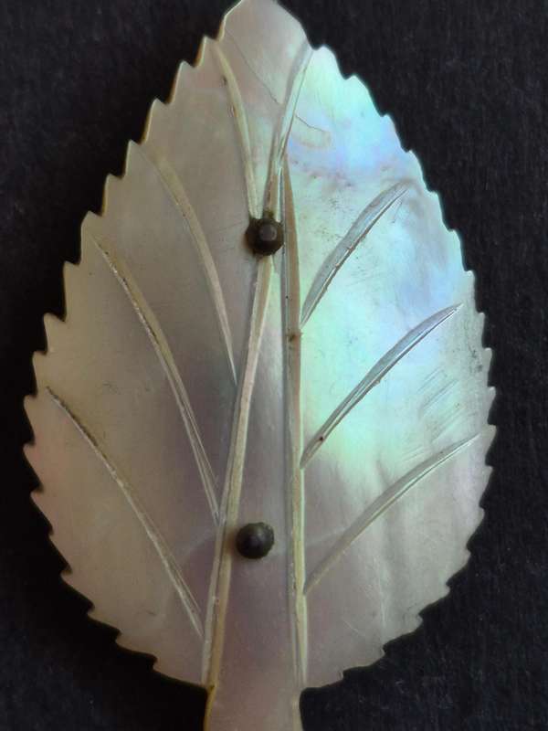 Antique Carved Mother of Pearl Leaf shaped Brooch (pin broken)