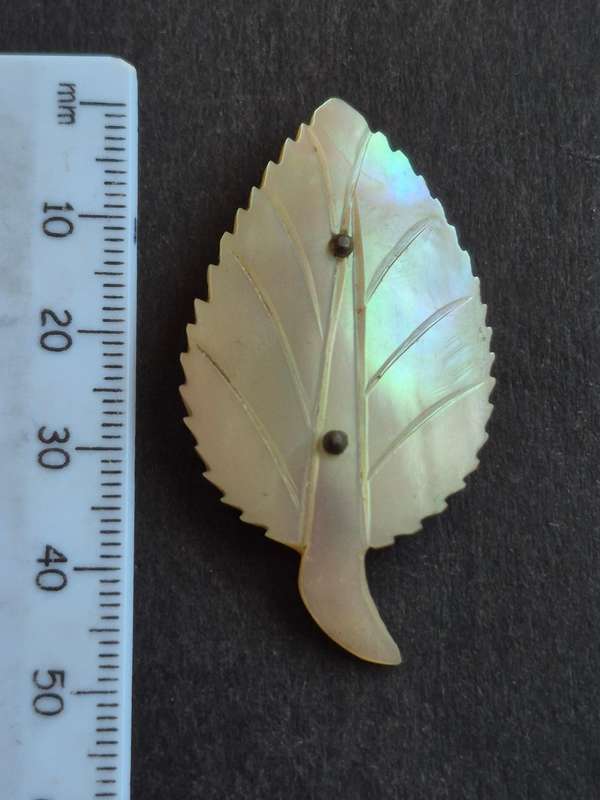 Antique Carved Mother of Pearl Leaf shaped Brooch (pin broken)