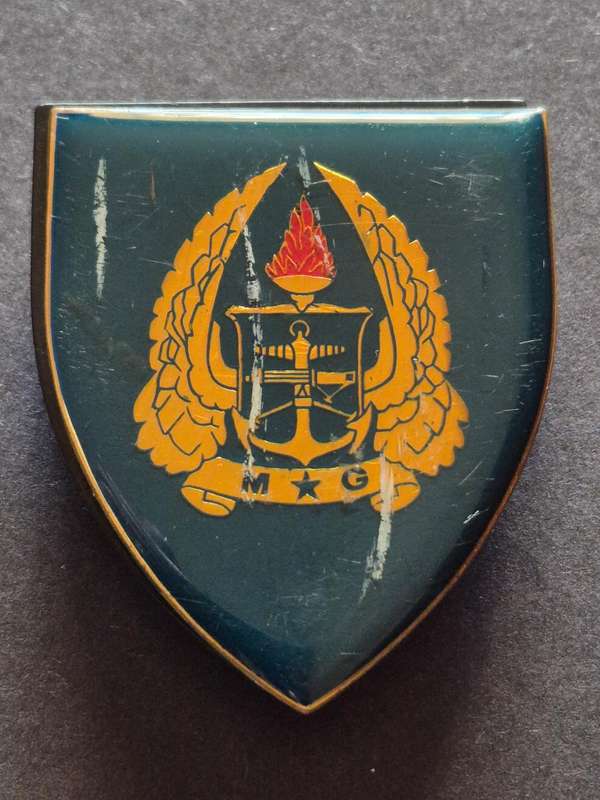 SADF Military Gymnasium Shoulder Flash