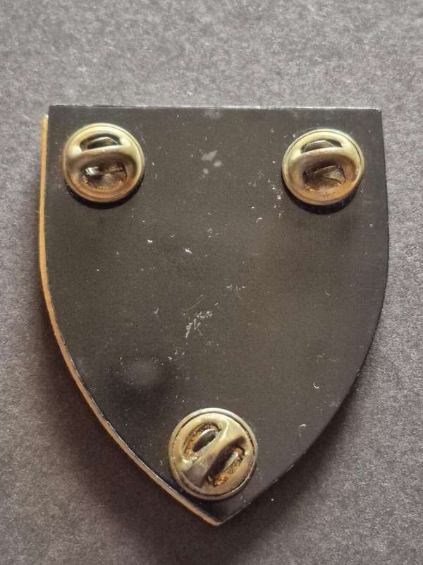 SADF Military Gymnasium Shoulder Flash