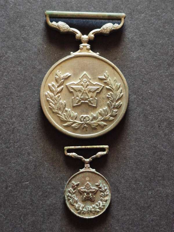 SA Army General Service Medal no. 069146 including Miniature Medal