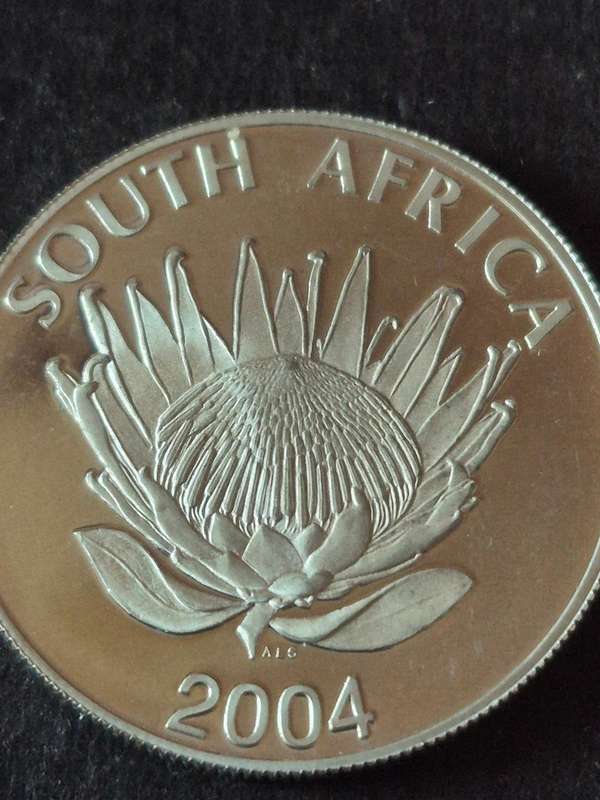 2004 Silver One Rand Protea Series Ten Year Anniversary of a Democratic SA Proof