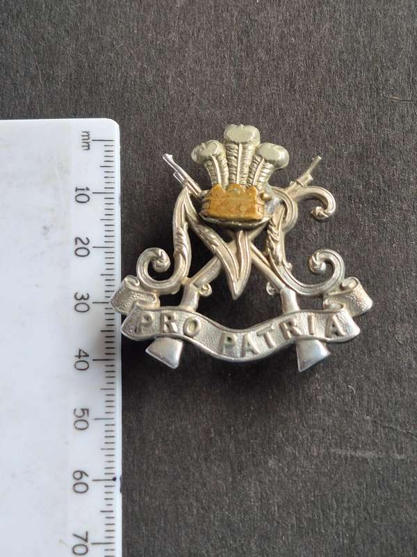 Pro Patria Crown Badge