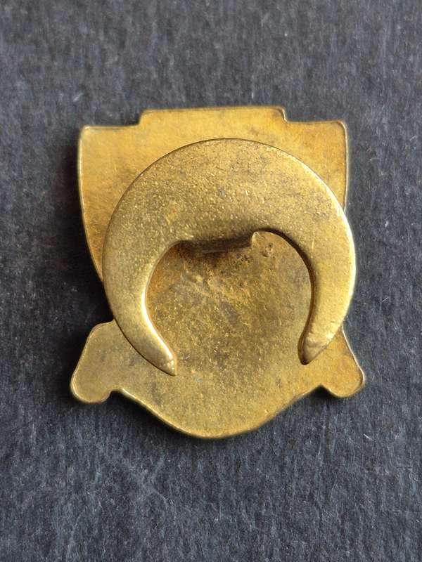Natal Avicultural Society Lapel Enamel Badge 1952