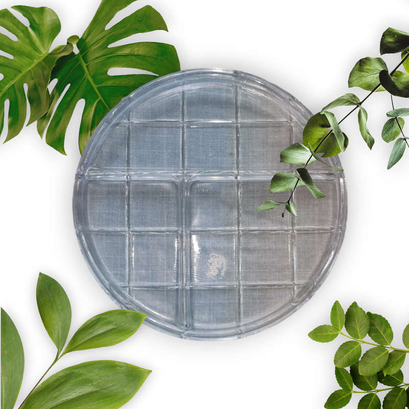 Glass Gazebo 3 Part Relish Tray