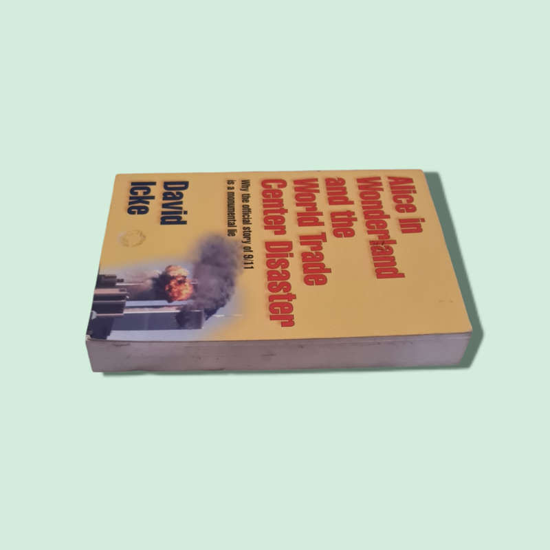 Alice in Wonderland and the World Trade Center Disaster book