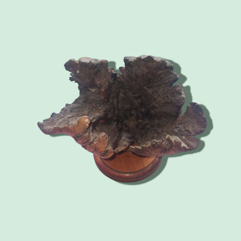 Extremely rare Guatemalan volcanic wooden flowers
