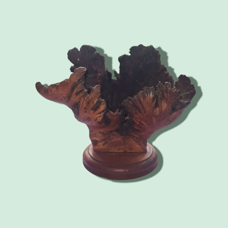 Extremely rare Guatemalan volcanic wooden flowers