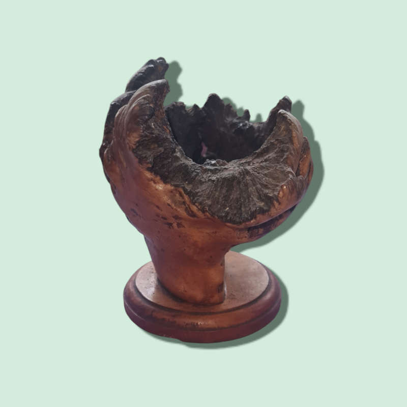 Extremely rare Guatemalan volcanic wooden flowers