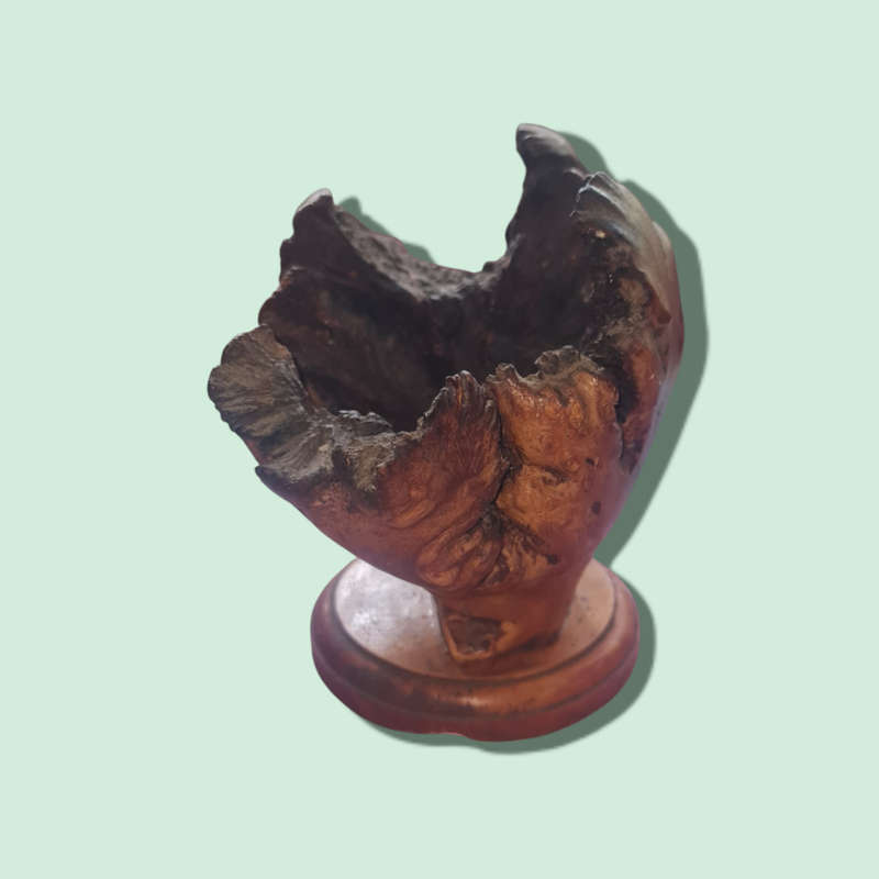Extremely rare Guatemalan volcanic wooden flowers