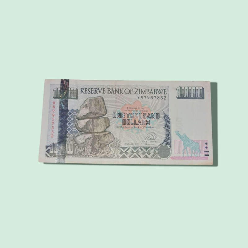 2003 ZIMBABWE 1000 DOLLAR BANKNOTE
