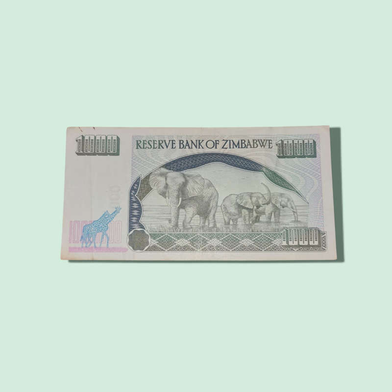 2003 ZIMBABWE 1000 DOLLAR BANKNOTE