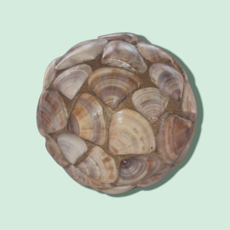 Monkey Apple Ball