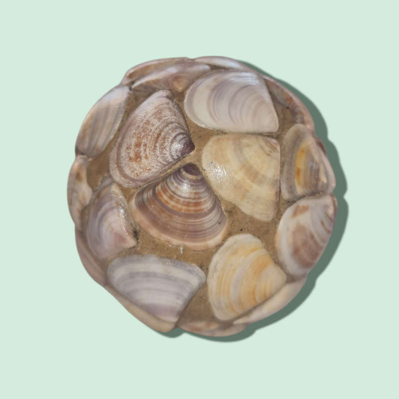 Monkey Apple Ball