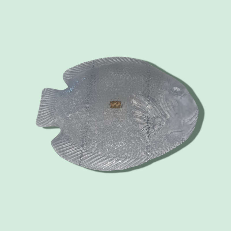 Arcoroc France Fish Shaped Clear Glass Platter