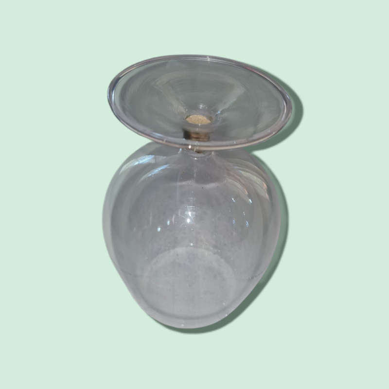 Double Walled Wine Glass