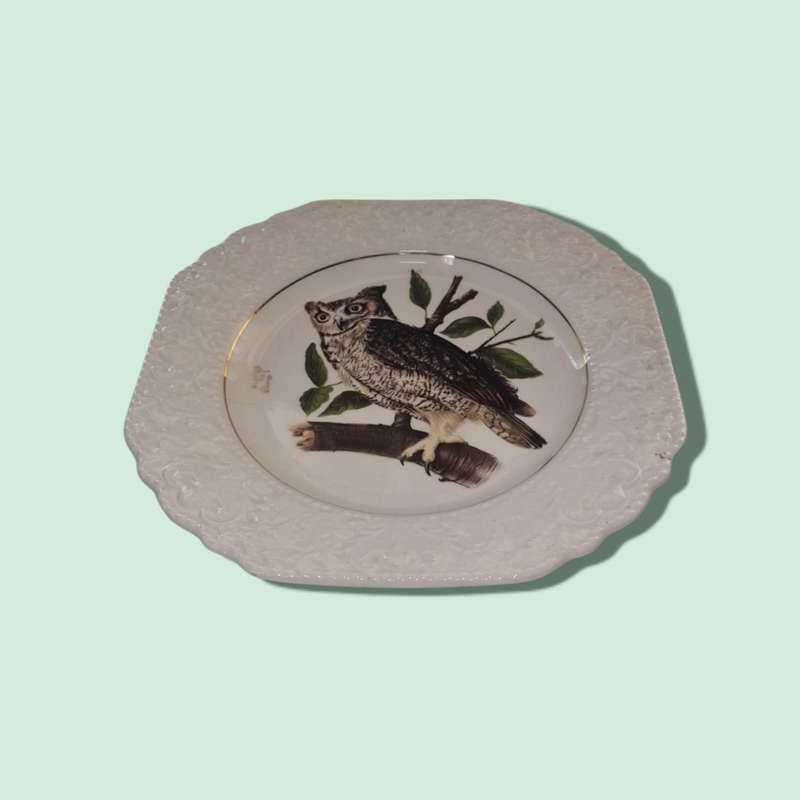 Lord Nelson Pottery Hand Crafted In England Since 1758 Owl Ceramic Plate Kitchen Dining Vintage