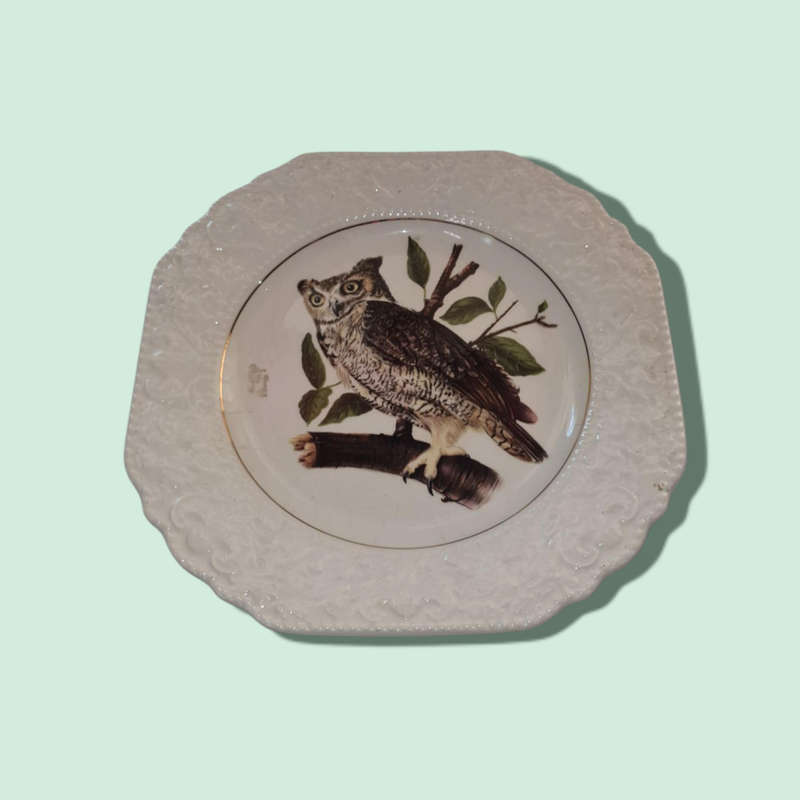 Lord Nelson Pottery Hand Crafted In England Since 1758 Owl Ceramic Plate Kitchen Dining Vintage