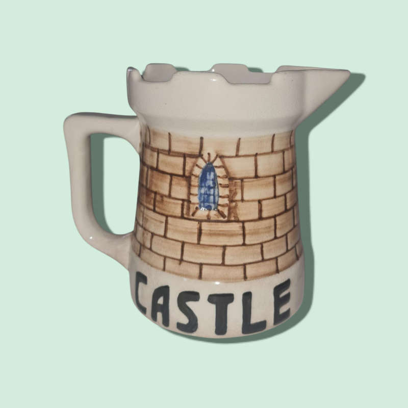 Vintage Drostdy Ware Beer Castle mug