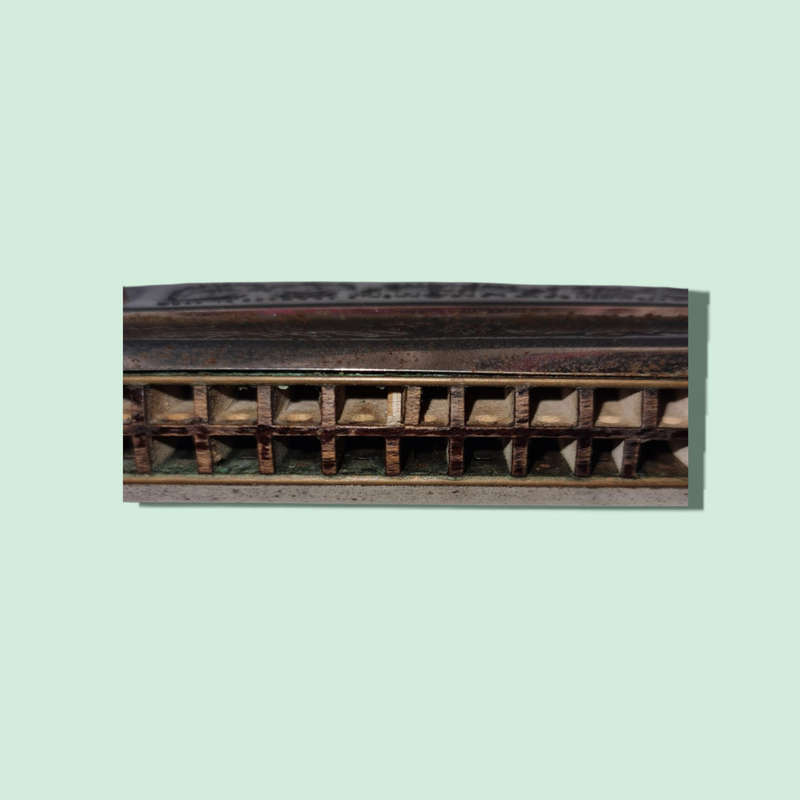 Hohner Echo Harp