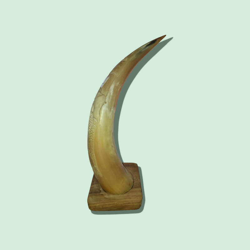 Crafted Horn With The Big 5 On Wood Stand