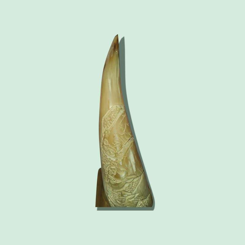 Crafted Horn With The Big 5 On Wood Stand