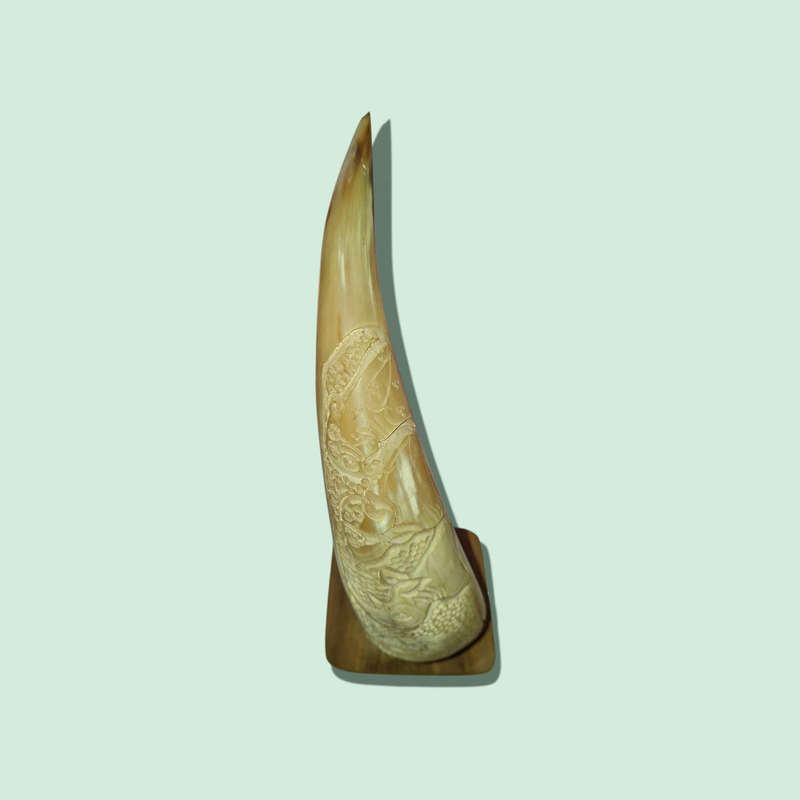 Crafted Horn With The Big 5 On Wood Stand