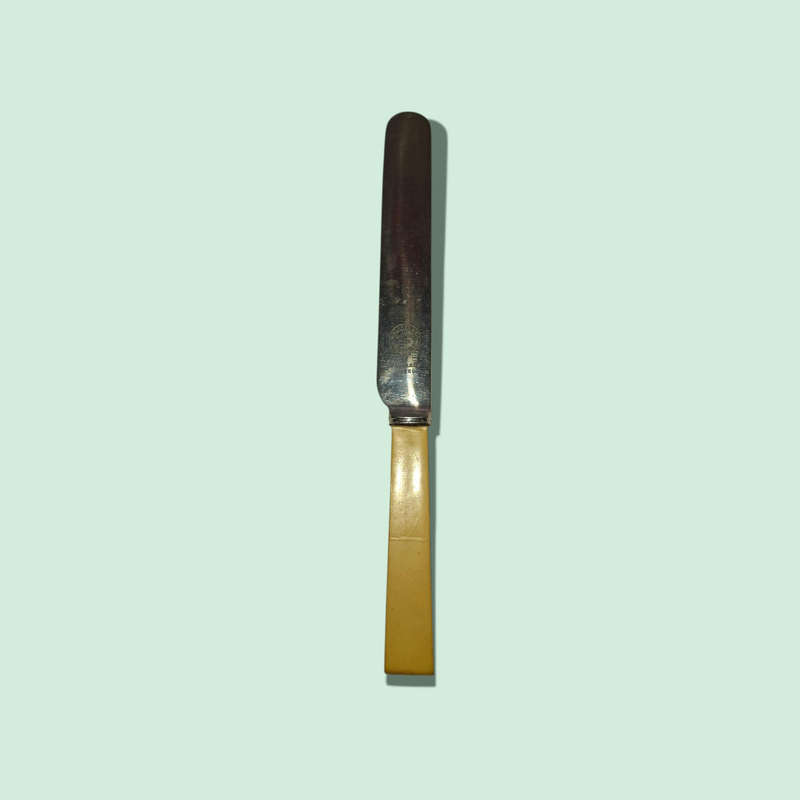 Vintage Stainless Steel Knife, Made In England, Sheffield