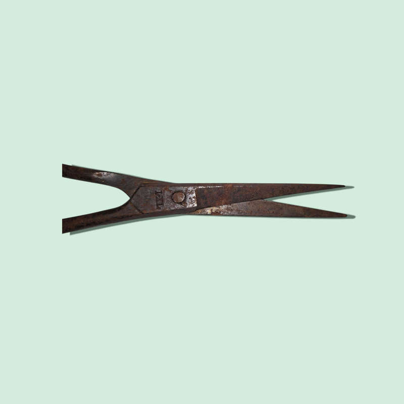 Vintage Hair Scissors I*XL