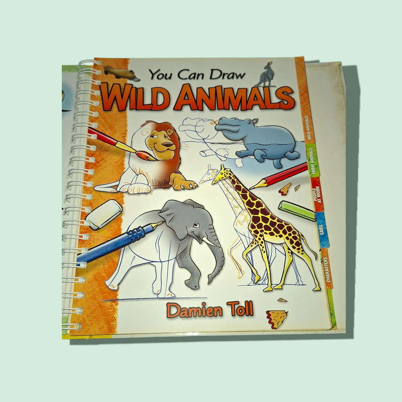 You Can Draw by Damien Toll (2006, Spiral/Hardback): 8 Books In 1