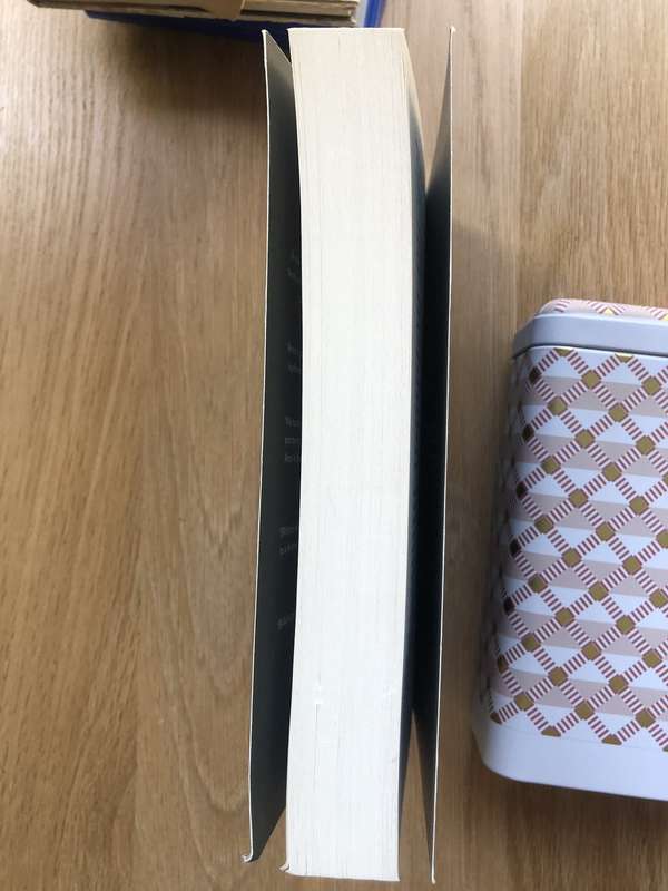 The Rub of Time - Martin Amis