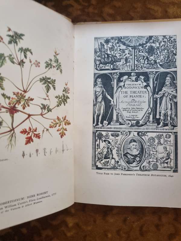 British Botanists - John Gilmour
